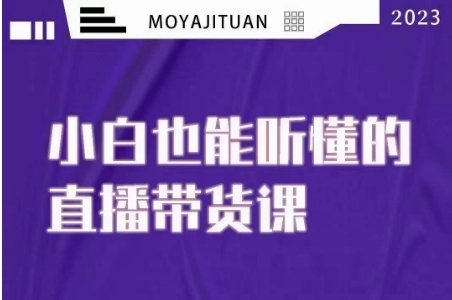 大威本威·能听懂的直播带货课，小白也能听懂，20节完整-副业库