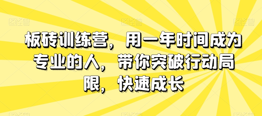板砖训练营，用一年时间成为专业的人，带你突破行动局限，快速成长-副业库
