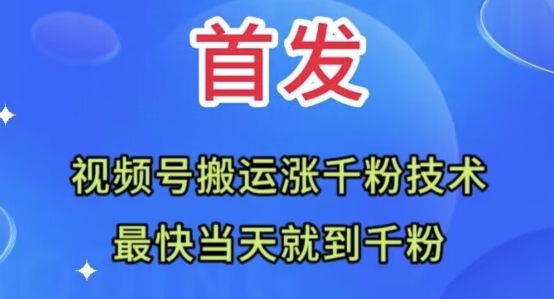 全网首发：视频号无脑搬运涨千粉技术，最快当天到千粉【揭秘】-副业库