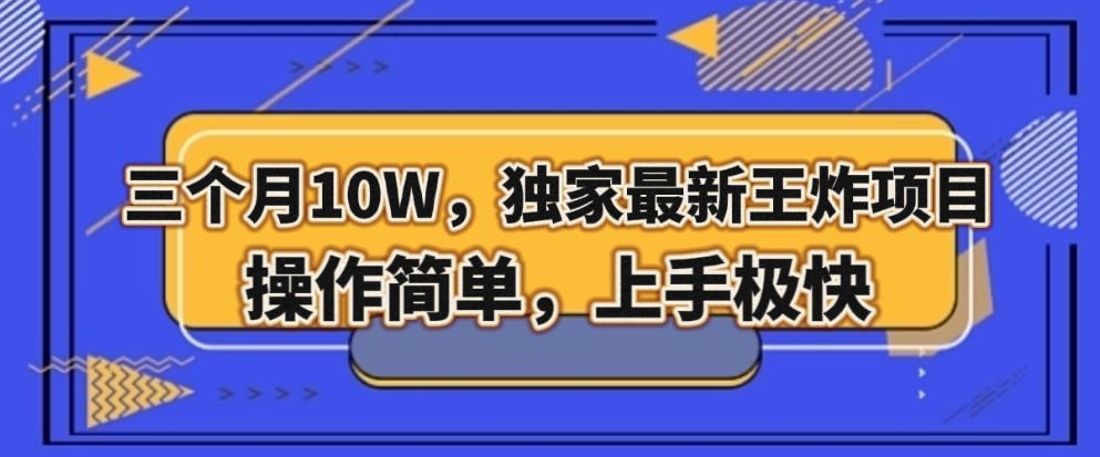三个月10W，独家最新王炸项目！操作简单，上手极快【揭秘】-副业库