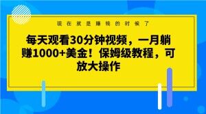 每天观看30分钟视频，一月躺赚1000+美金！保姆级教程，可放大操作【揭秘】-副业库