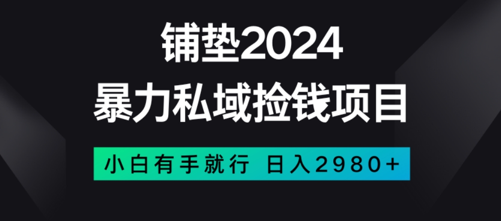 暴力私域捡钱项目，小白无脑操作，日入2980【揭秘】-副业库