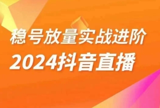 稳号放量实战进阶—2024抖音直播，直播间精细化运营的几大步骤-副业库