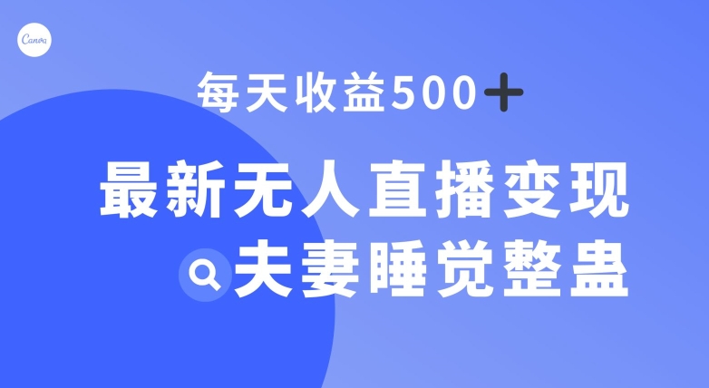 最新无人直播变现，夫妻睡觉整蛊，每天躺赚500+【揭秘】-副业库