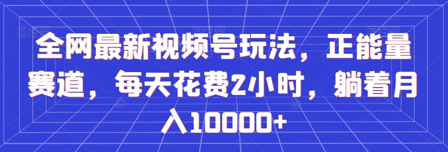 全网最新视频号玩法，正能量赛道，每天花费2小时，躺着月入10000+【揭秘】-副业库