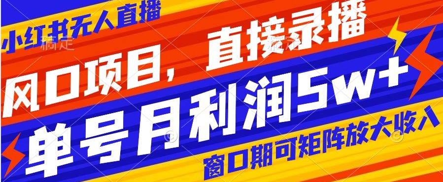 风口项目，小红书无人直播带货，直接录播，可矩阵，月入5w+【揭秘】-副业库