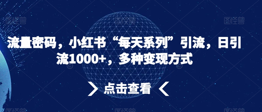 流量密码，小红书“每天系列”引流，日引流1000+，多种变现方式【揭秘】-副业库