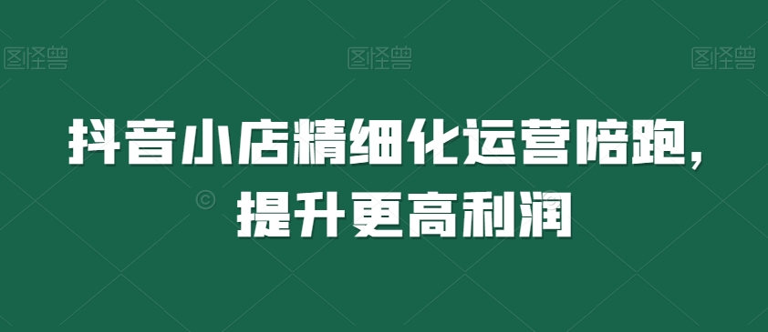 抖音小店精细化运营陪跑，提升更高利润-副业库
