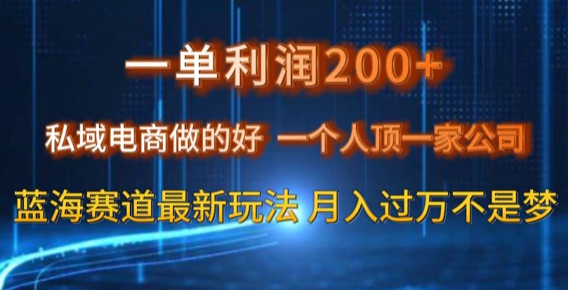 一单利润200私域电商做的好，一个人顶一家公司蓝海赛道最新玩法【揭秘】-副业库