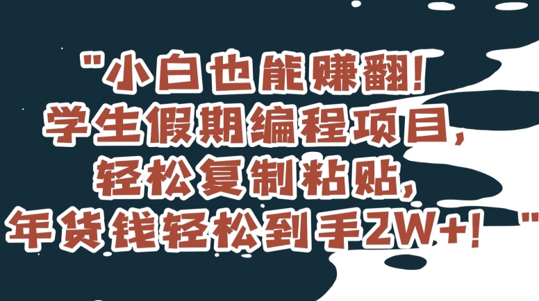 小白也能赚翻！学生假期编程项目，轻松复制粘贴，年货钱轻松到手2W+【揭秘】-副业库
