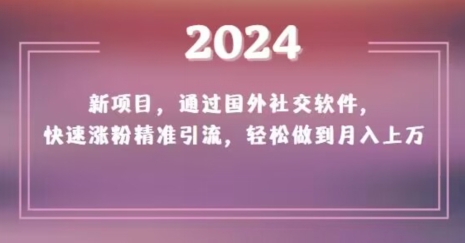 2024新项目，通过国外社交软件，快速涨粉精准引流，轻松做到月入上万【揭秘】-副业库