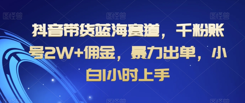 抖音带货蓝海赛道，千粉账号2W+佣金，暴力出单，小白1小时上手【揭秘】-副业库