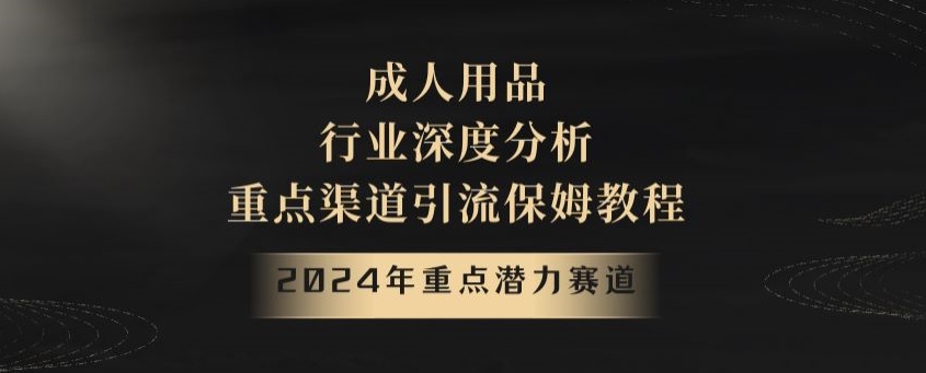 2024年重点潜力赛道，成人用品行业深度分析，重点渠道引流保姆教程【揭秘】-副业库