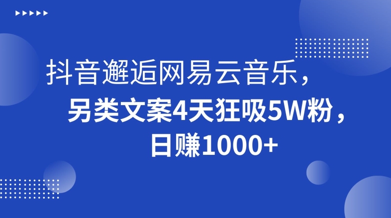 抖音邂逅网易云音乐，另类文案4天狂吸5W粉，日赚1000+【揭秘】-副业库