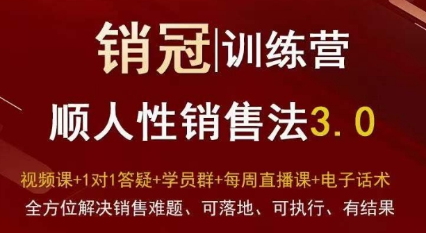 爆款！销冠训练营3.0之顺人性销售法，全方位解决销售难题、可落地、可执行、有结果-副业库