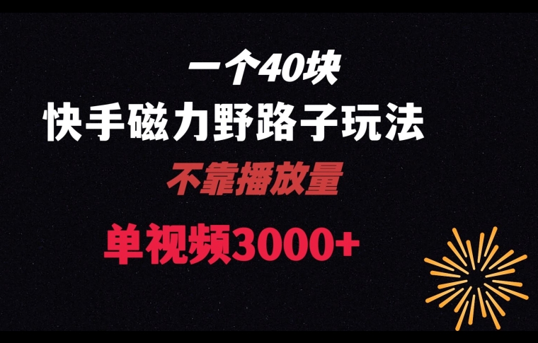 一个40块，快手联合美团磁力新玩法，无视机制野路子玩法，单视频收益4位数【揭秘】-副业库