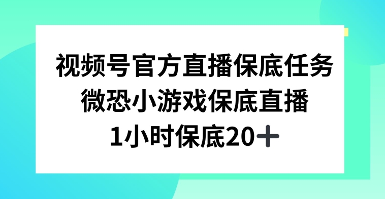 视频号直播任务，微恐小游戏，1小时20+-副业库