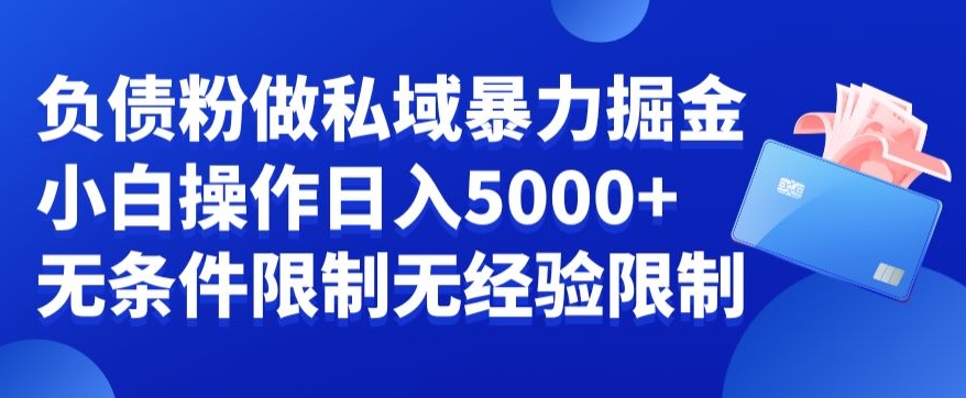 负债粉私域暴力掘金，小白操作入5000，无经验限制，无条件限制-副业库