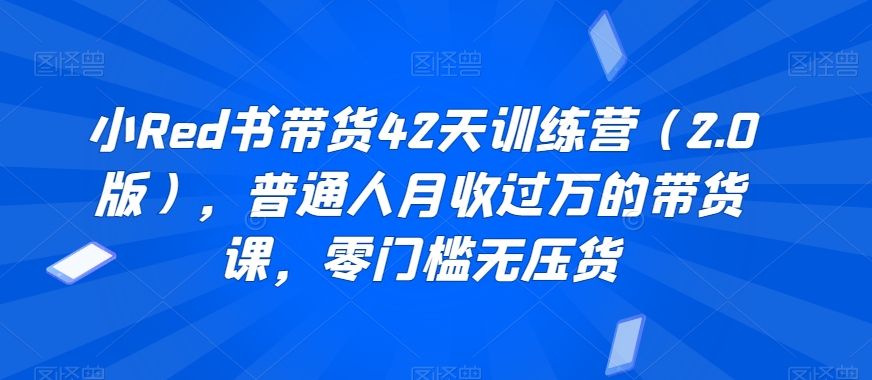 小Red书带货42天训练营（2.0版），普通人月收过万的带货课，零门槛无压货-副业库