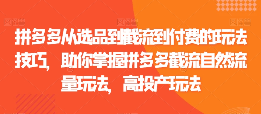 拼多多从选品到截流到付费的玩法技巧，助你掌握拼多多截流自然流量玩法，高投产玩法-副业库