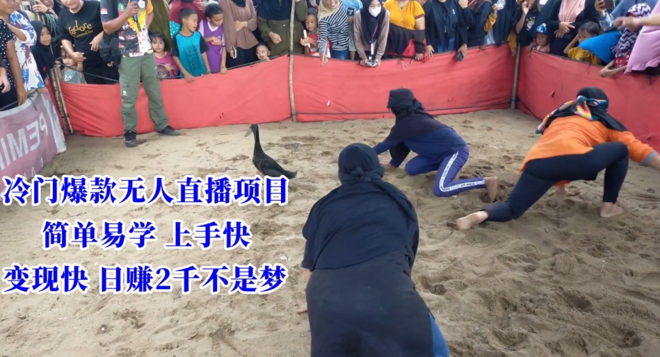 冷门爆款无人直播项目，简单易学上手快，变现快日赚2千不是梦-副业库