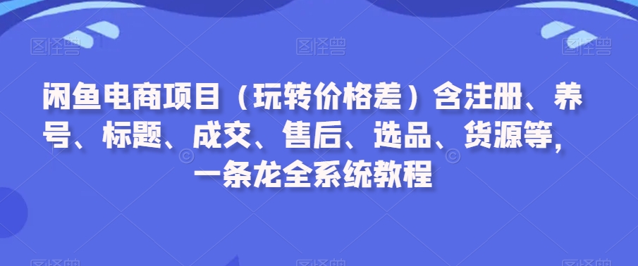 闲鱼电商项目（玩转价格差）含注册、养号、标题、成交、售后、选品、货源等，一条龙全系统教程-副业库