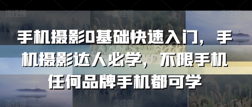 手机摄影0基础快速入门，手机摄影达人必学，不限手机任何品牌手机都可学-副业库