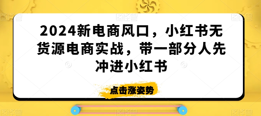 2024新电商风口，小红书无货源电商实战，带一部分人先冲进小红书-副业库
