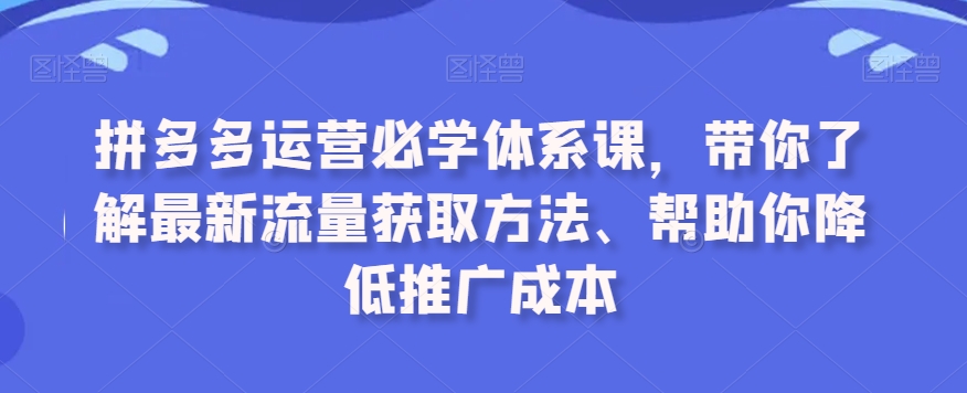 拼多多运营必学体系课，带你了解最新流量获取方法、帮助你降低推广成本-副业库