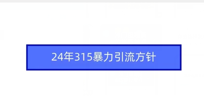 24年315暴力引流方针-副业库