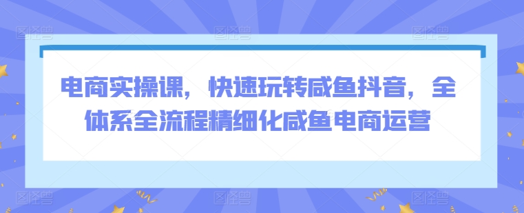 电商实操课，快速玩转咸鱼抖音，全体系全流程精细化咸鱼电商运营-副业库
