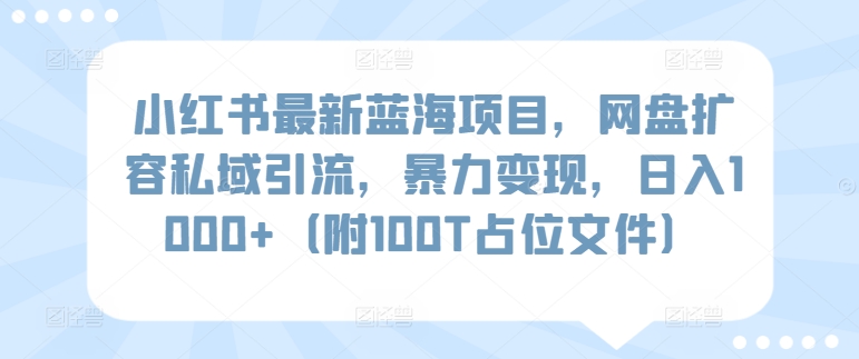 小红书最新蓝海项目，网盘扩容私域引流，暴力变现，日入1000+（附100T占位文件）-副业库