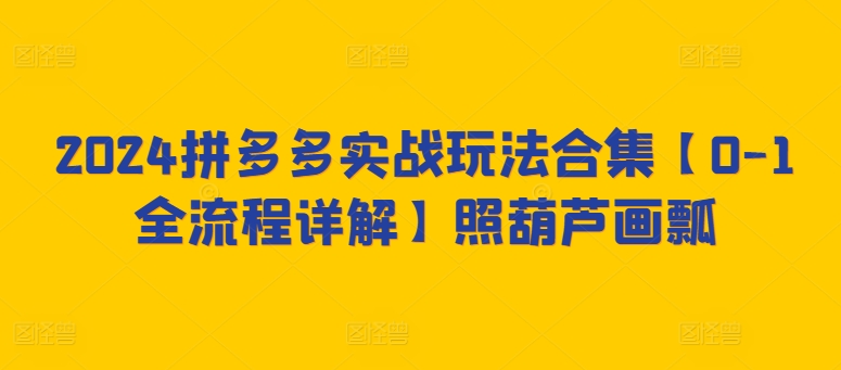 2024拼多多实战玩法合集【0-1全流程详解】照葫芦画瓢-副业库