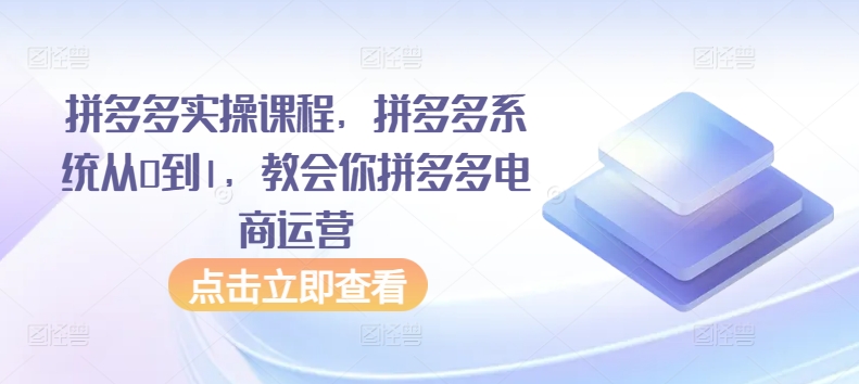 拼多多实操课程，拼多多系统从0到1，教会你拼多多电商运营-副业库