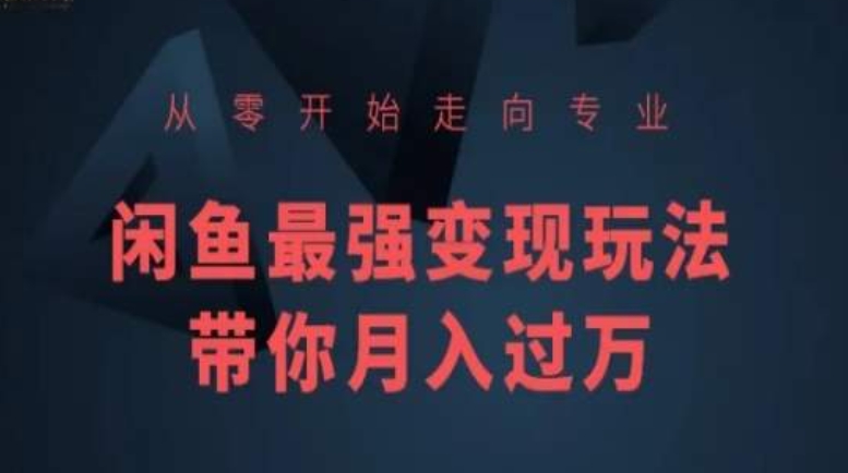 从零开始走向专业，闲鱼最强变现玩法带你月入过万-副业库