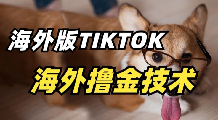 抖音海外版tiktok撸金技术，这个风口行业，赚钱真的不难-副业库