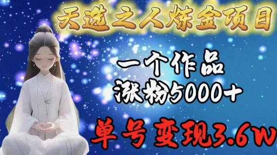 天选之人炼金项目，一个作品涨粉5000+，单号变现3.6w-副业库