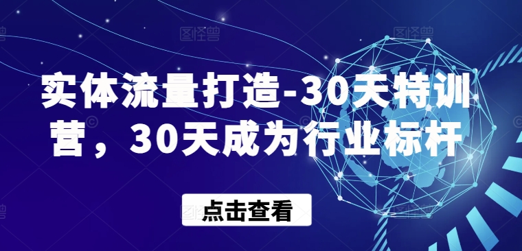 实体流量打造-30天特训营，30天成为行业标杆-副业库