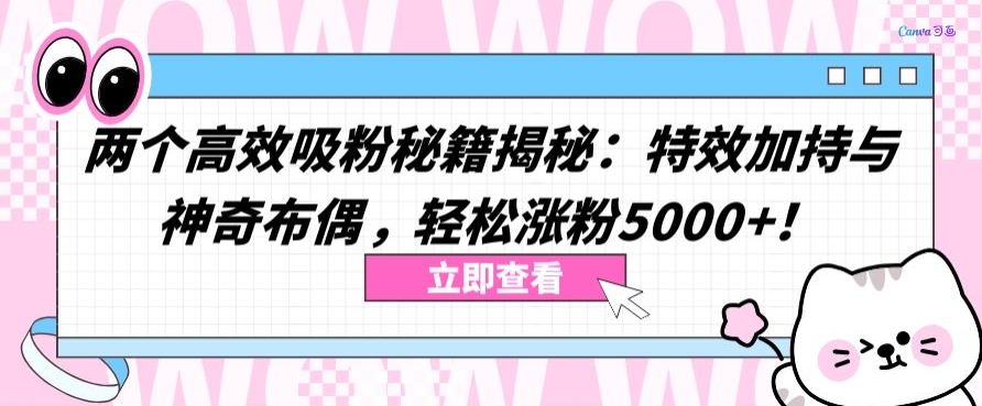 两个高效吸粉秘籍揭秘：特效加持与神奇布偶，轻松涨粉5000+-副业库