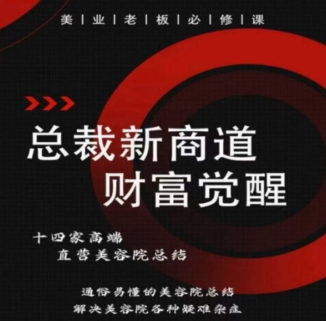 总裁新商道(美业老板必修课)，通俗易懂的美容院总结，解决美容院各种疑难杂症-副业库