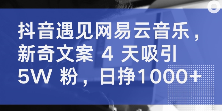 抖音遇见网易云音乐，新奇文案 4 天吸引 5W 粉，日挣1000+-副业库