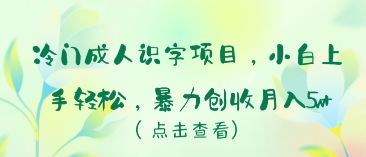 冷门成人识字项目，小白上手轻松，暴力创收月入5w+-副业库