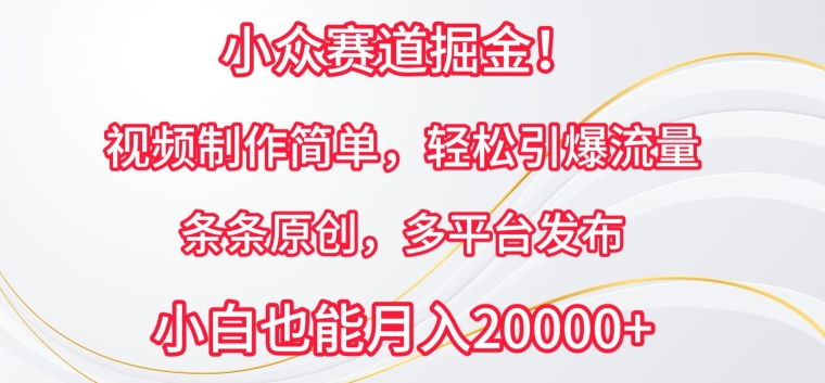 小众赛道掘金，视频制作简单，轻松引爆流量，条条原创，多平台发布-副业库