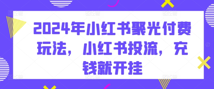 2024年小红书聚光付费玩法，小红书投流，充钱就开挂-副业库