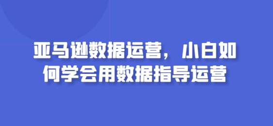 亚马逊数据运营，小白如何学会用数据指导运营-副业库