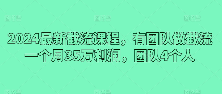 2024最新截流课程，有团队做截流一个月35万利润，团队4个人-副业库
