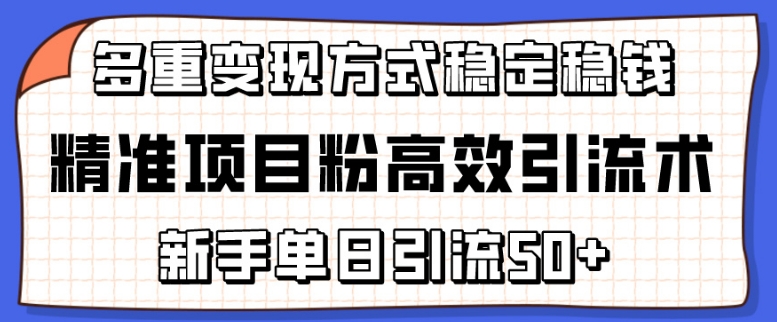 精准项目粉高效引流术，新手单日引流50+，多重变现方式稳定赚钱-副业库
