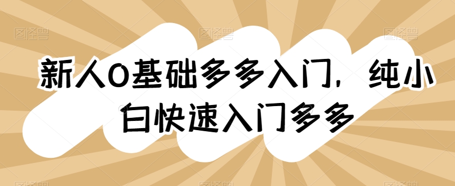 新人0基础多多入门，​纯小白快速入门多多-副业库