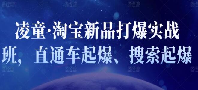 凌童《新品打爆实战班》,一套完整的实操实战落地方法，打爆链接超2000+（28节课)-副业库