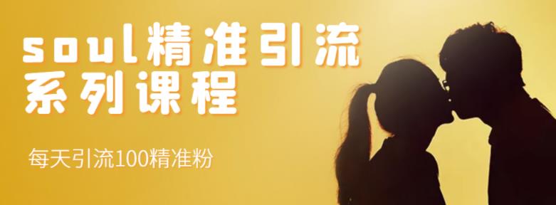soul精准引流系列课程，每天引流100精准粉-副业库
